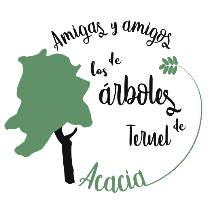 Logo Acacia Teruel